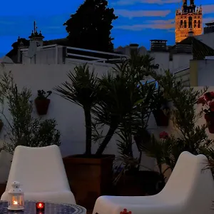 Un Patio En Santa Cruz Sewilla